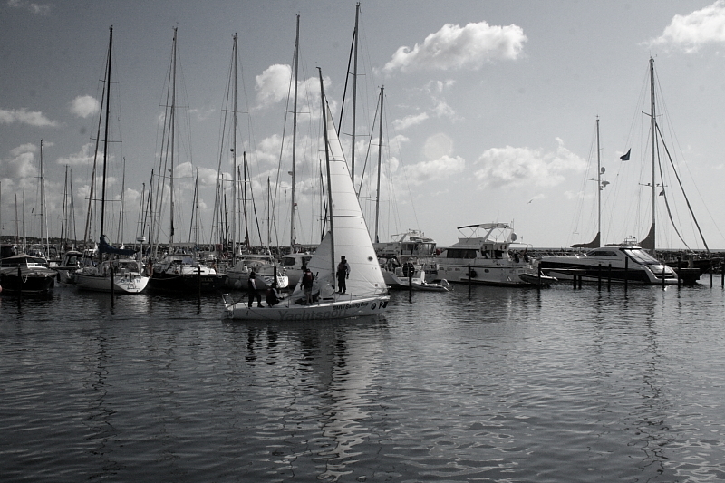 BMW Sailing Cup - Mitsegeln